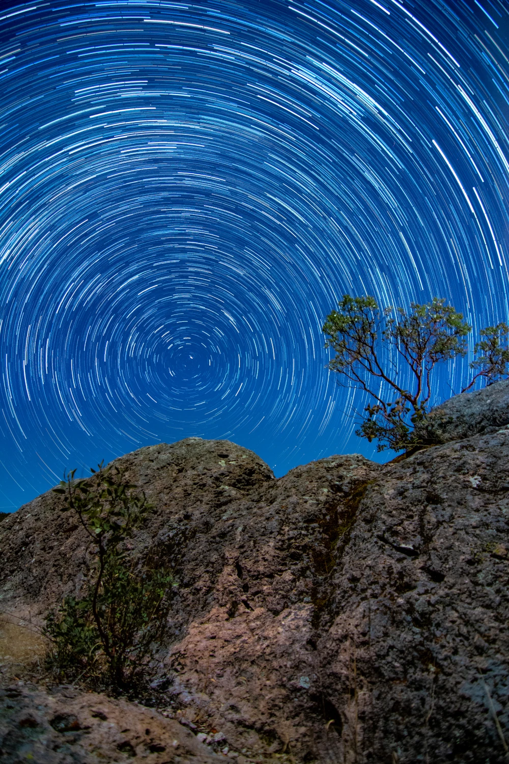 StarTrails.webp
